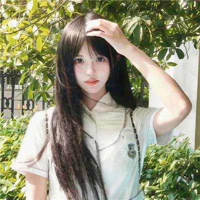 红色康乃馨